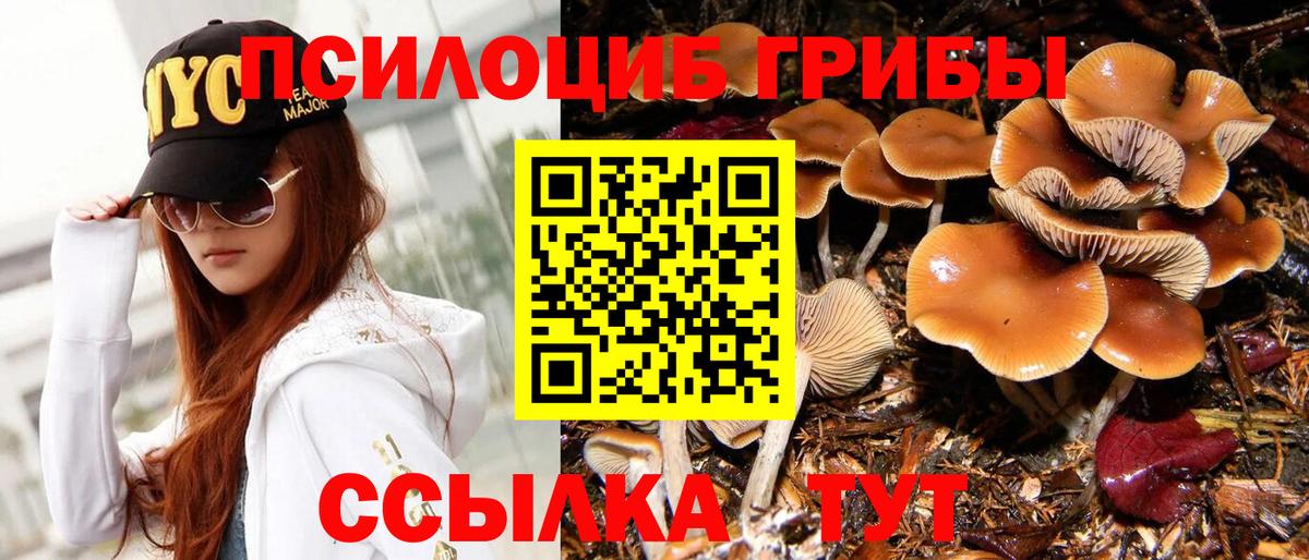 Галлюциногенные грибы мухоморы  Галлюциногенные грибы GOLDEN TEACHER  Вход с VPN  Луховицы 